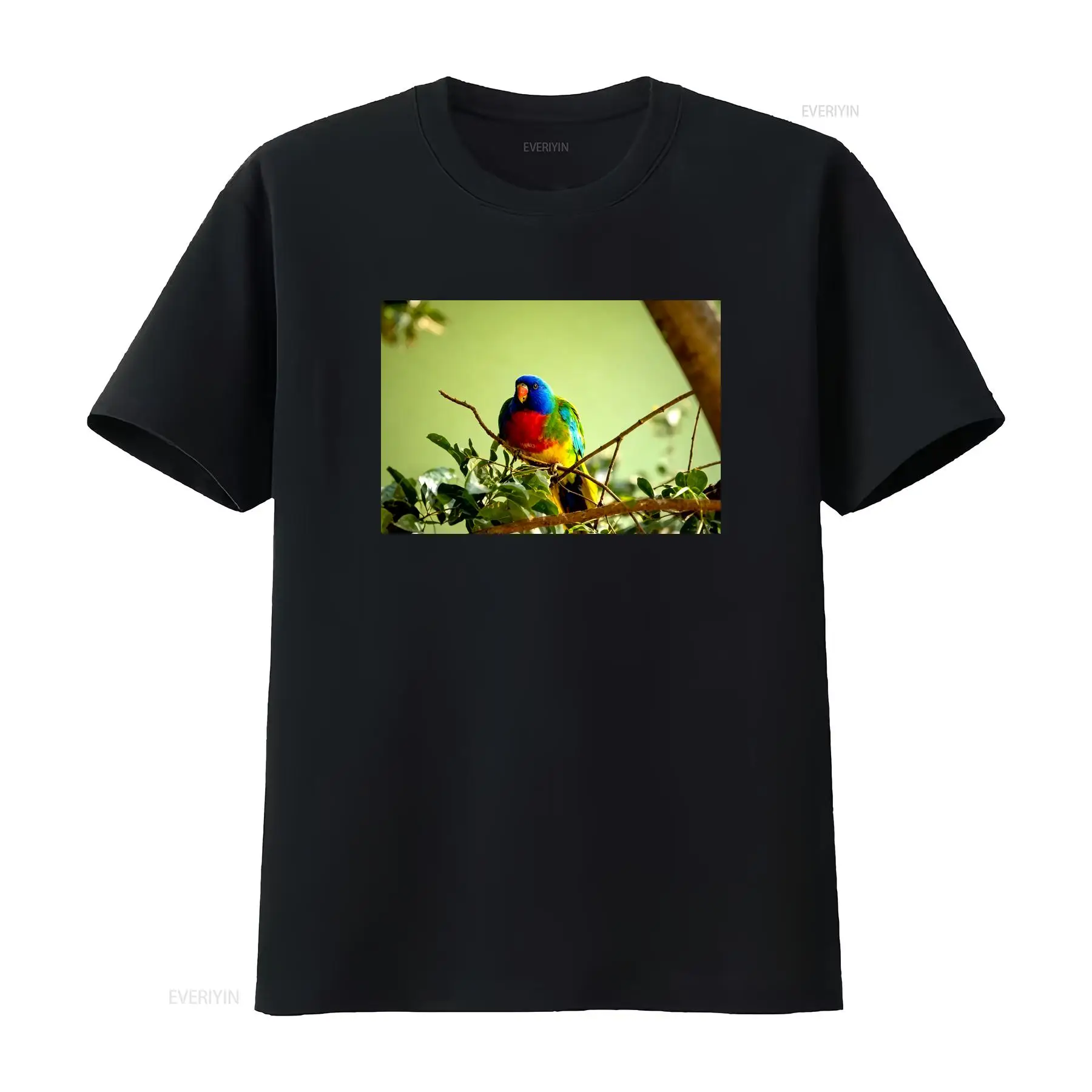 Scarlet Chested Parrot Made in - Mens Fashion Australia recensie en prijs