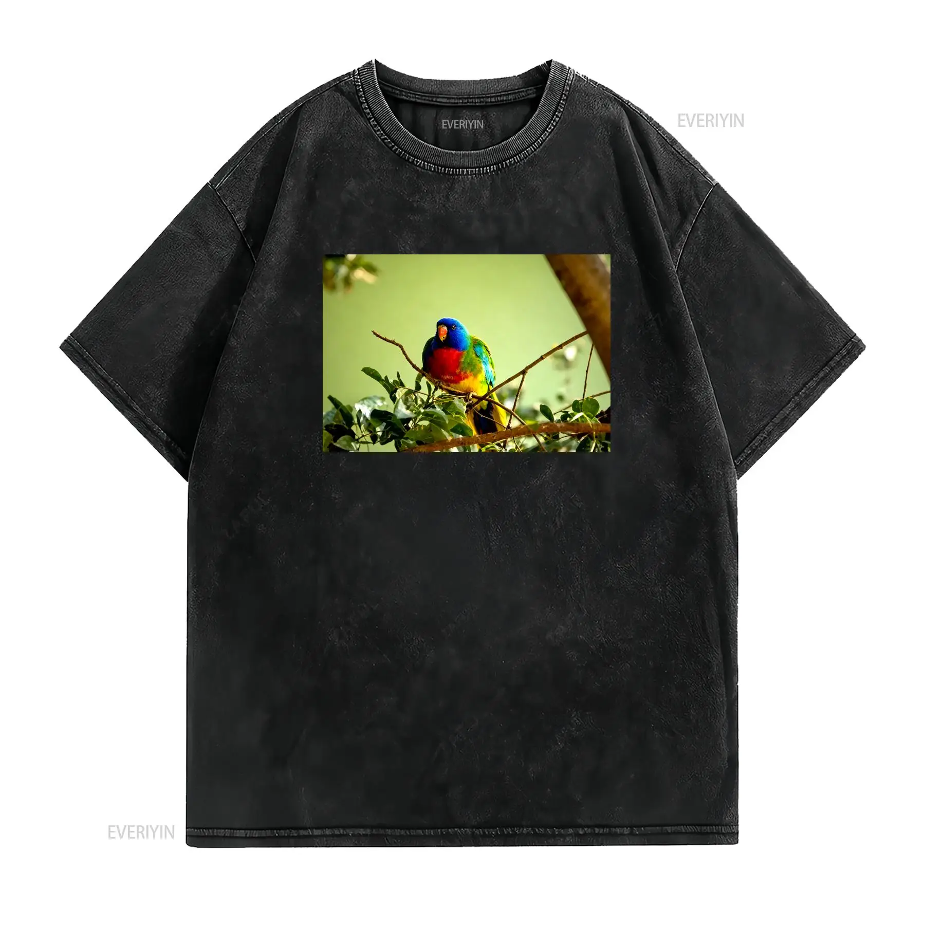 Scarlet Chested Parrot Made in - Mens Fashion Australia recensie en prijs