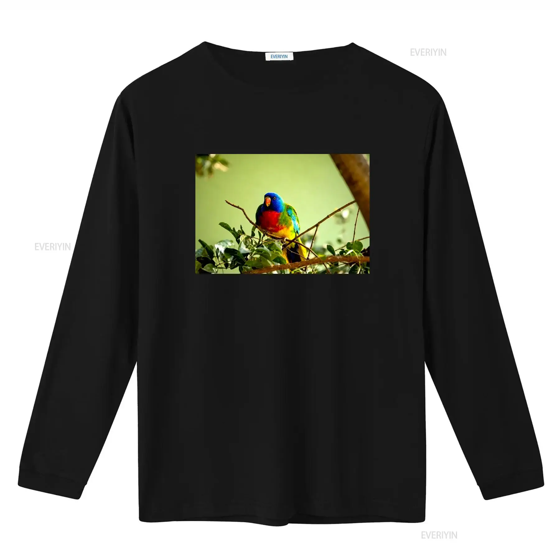 Scarlet Chested Parrot Made in - Mens Fashion Australia recensie en prijs