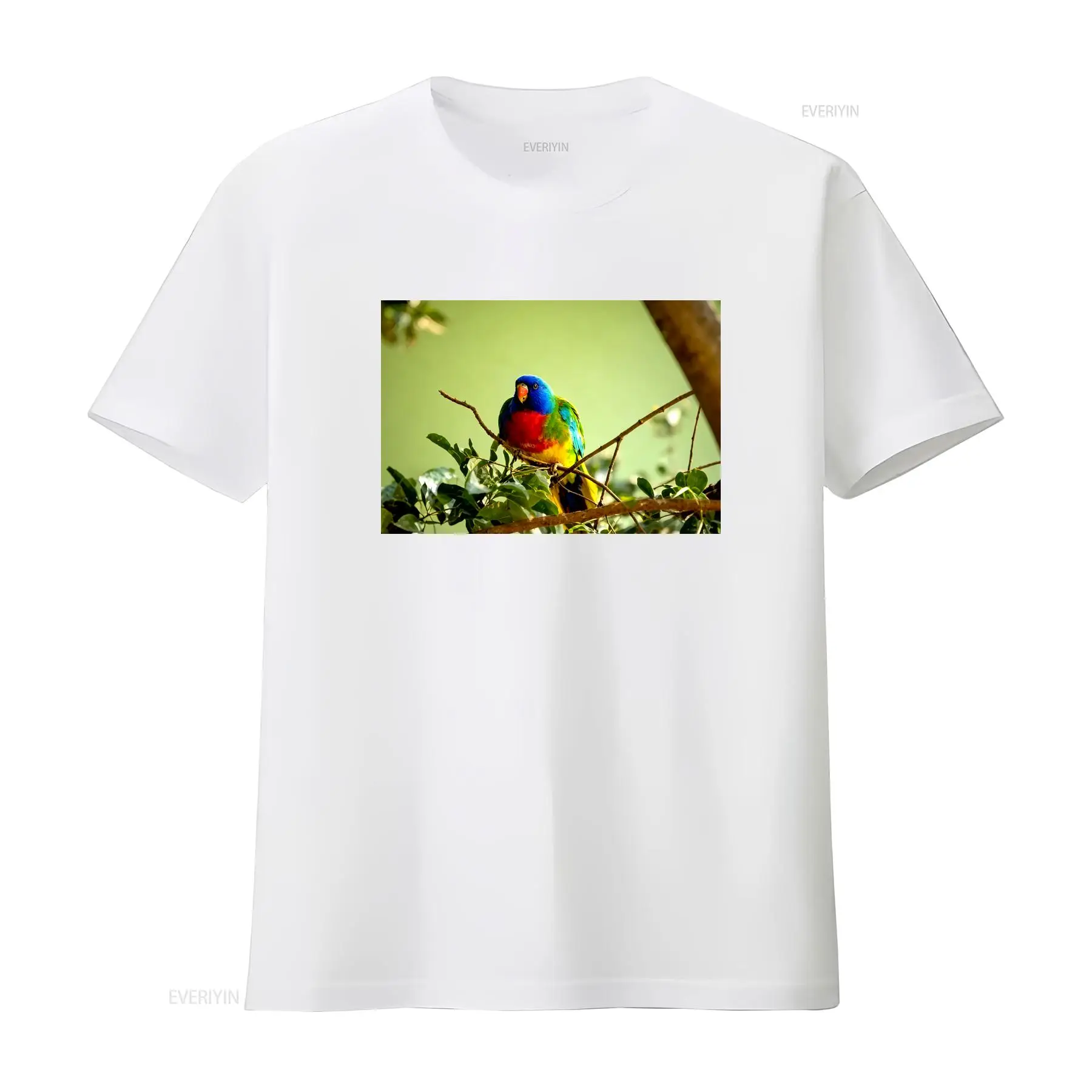 Scarlet Chested Parrot Made in - Mens Fashion Australia recensie en prijs